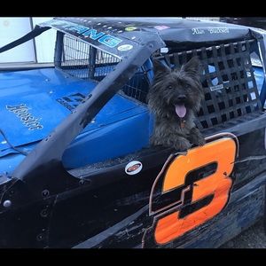 Meet your Posher, Joljoleta